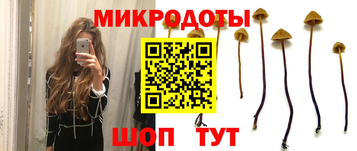 Псилоцибиновые грибы ЛСД Ипатово