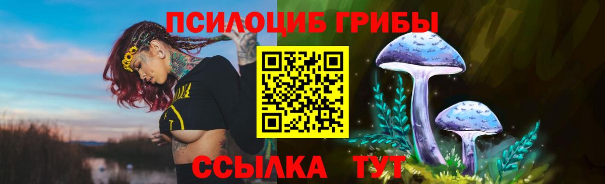 даркнет сайт  Вход с VPN  Ипатово  Галлюциногенные грибы прущие грибы 